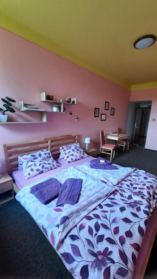 Penzion U Statku Lodherov Exteriér fotografie